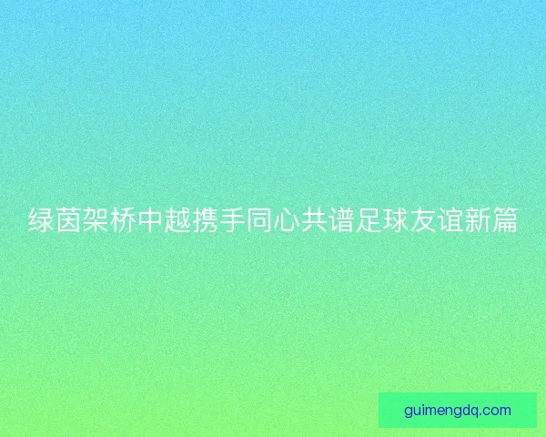 绿茵架桥中越携手同心共谱足球友谊新篇